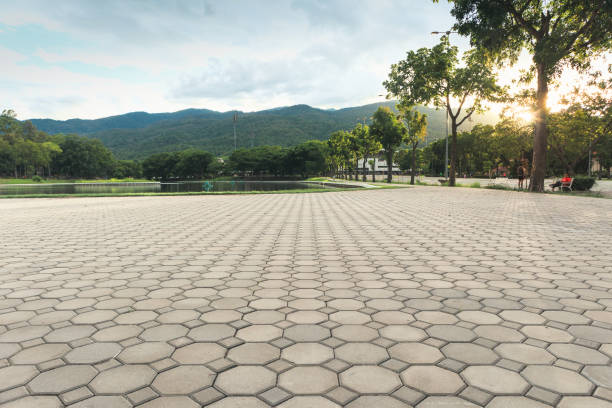 Best Driveway Pavers Near Me  in Mount Arlington, NJ